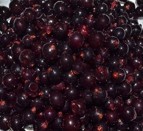 «CURRANT, SOLD BY WEIGHT» Deep frozen vegetables and fruits