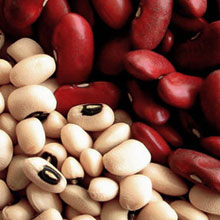 «Beans»